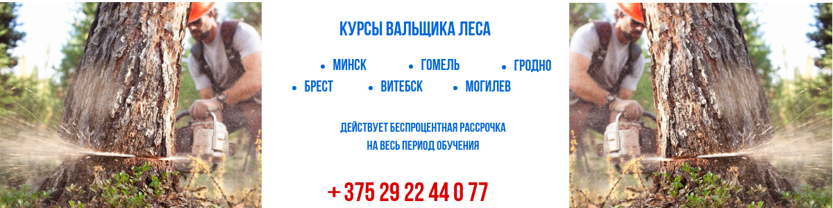 курсы вальщика леса в бресте, гомеле, могилеве, витебске, минске, гродно
